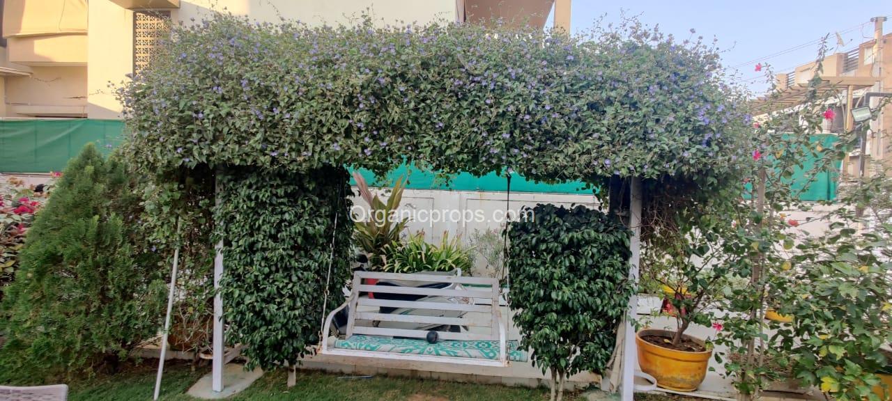 WhatsApp Image 2023-02-09 at 220230209180006030.jpeg